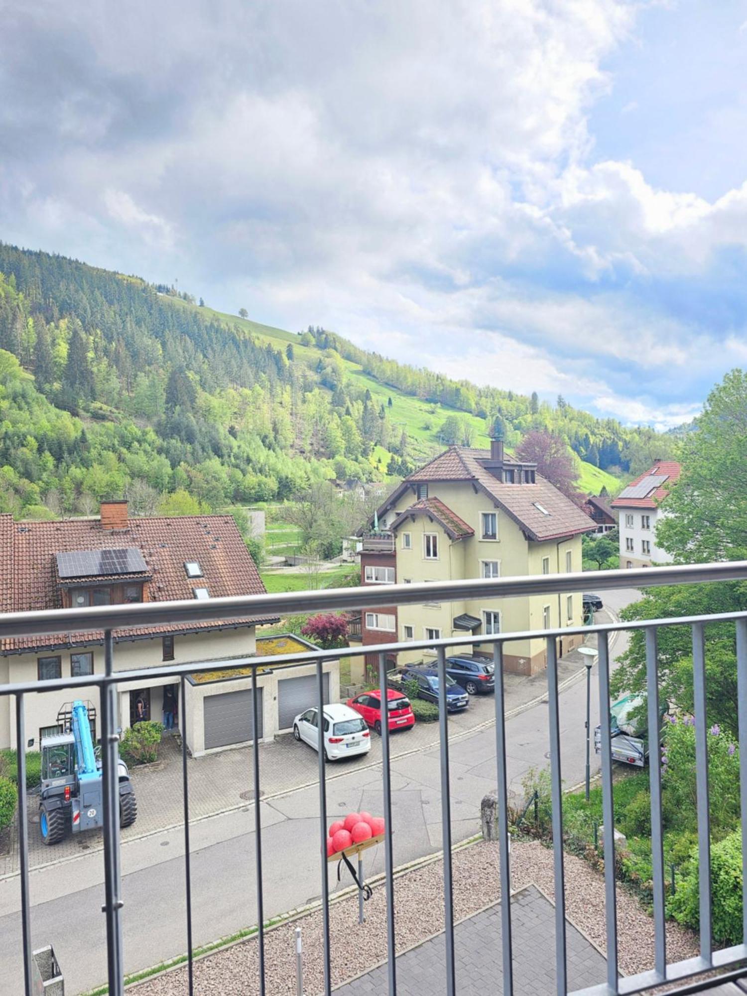 Black Forest II Sauna I Boxspring I Nespresso I Ausblick I Wasserfaelle Im Ort Todtnau Esterno foto